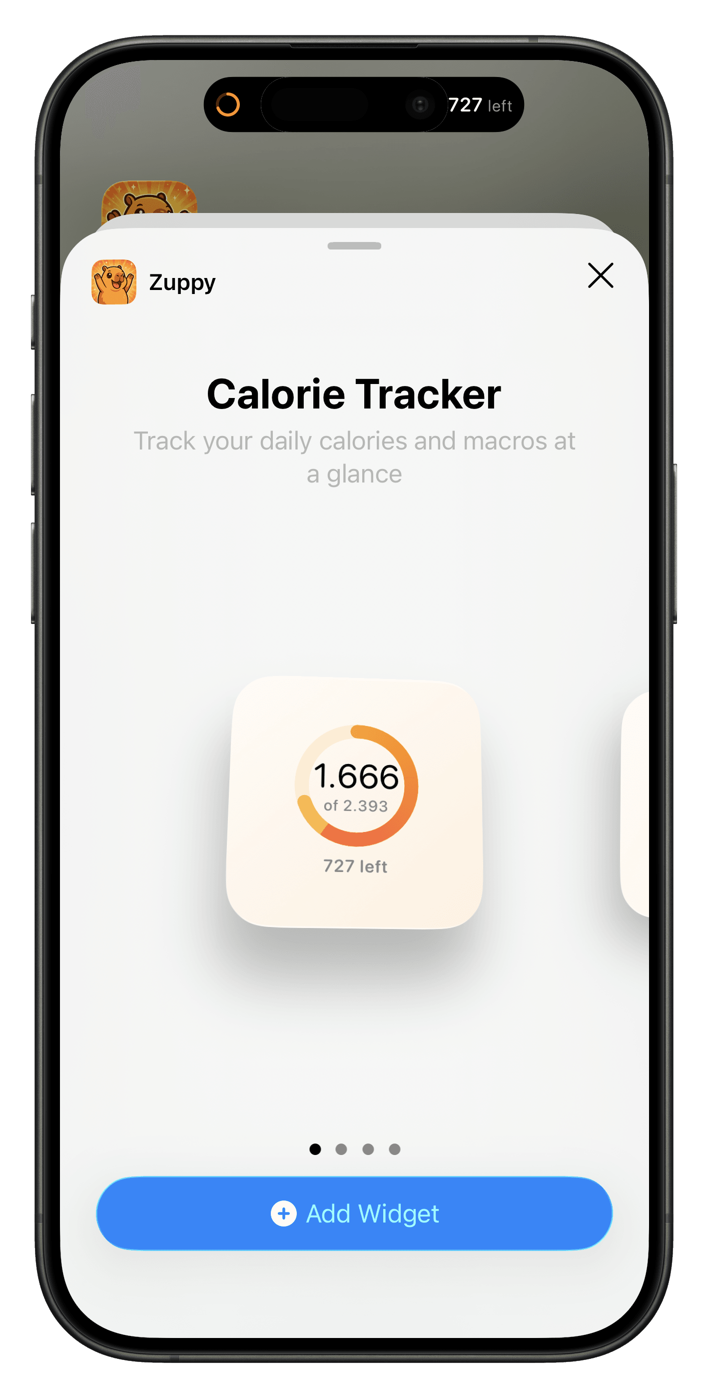 Calorie Widget
